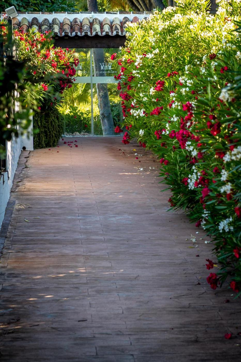 Marbella Banus Suites - Lily Playas Del Duque Banus Beach Apartment Bagian luar foto
